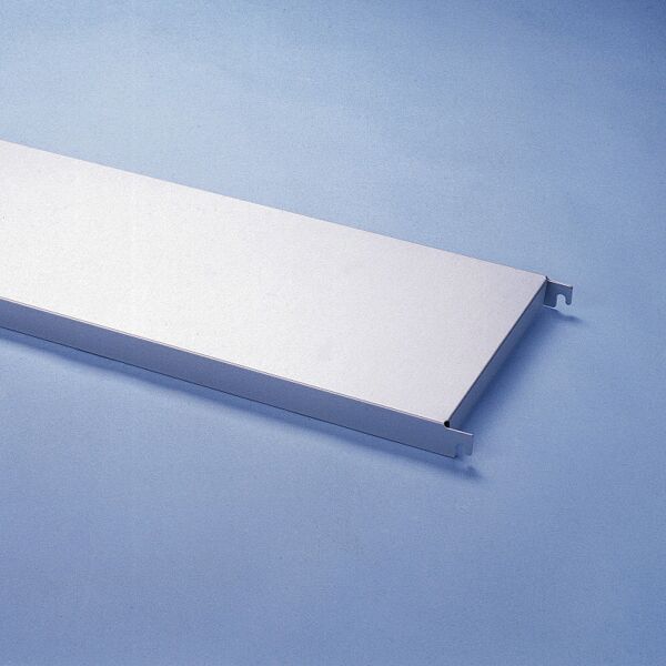 Zusatz-Fachboden für Lebensmittelregal, 800 x 600 mm, Edelstahl, 150 kg